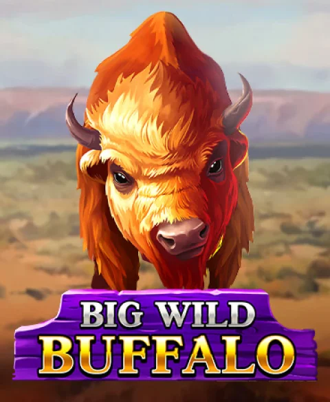 Play Big Wild Buffalo at Mr Mobi Casino